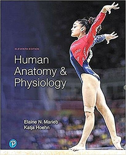 Human Anatomy & Physiology 11Th Edition