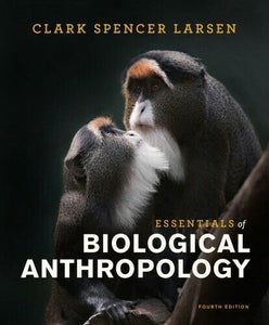 Essentials of Biological Anthropology 4Th Edition